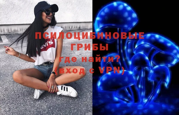 мяу мяу мука Алзамай
