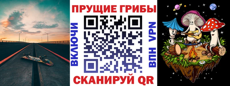 Псилоцибиновые грибы MAGIC MUSHROOMS KRAKEN зеркало Наволоки цены наркотик
