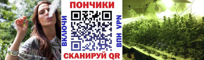 купить  сайты  Наволоки  МАРИХУАНА индика 
